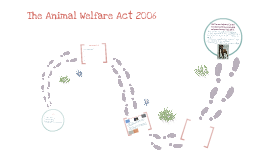 Animal Welfare Act 2006 by Amy Harden on Prezi