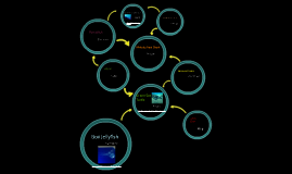 The Box Jellyfish Food Web by Jocelyn He on Prezi