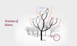 Scientific Law Vs Scientific Theory By Cindy Mullikin On Prezi Scientific Law Vs Scientific Theory By Cindy Mullikin On Prezi
