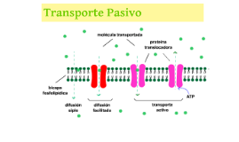 Resultado de imagen para transporte pasivo