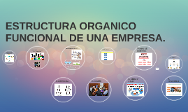 Resultado de imagen para que es una estructura organico-funcional de una empresa