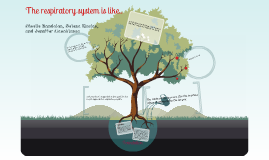 Respiratory Analogy by Giselle Bee on Prezi