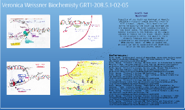 Biochem task 2   diferent levels of protein structure