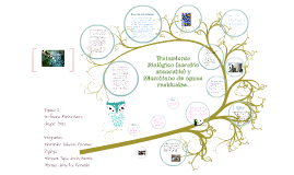 Tratamiento Biológico (aerobio anaerobio) y Microbiano. by Fǝrizzǝ ...