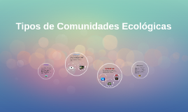 Que tipo de comunidades existem em Portugal? – Como ...