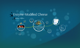 Enzyme-Modified Cheese by Mackenzie Bogue on Prezi