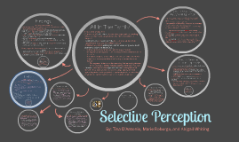 selective perception definition