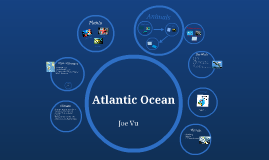 Atlantic Ocean Food Web by Hien Vu on Prezi