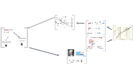 Manning's Equation by Paul Rudwick on Prezi