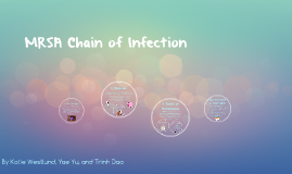 mrsa chain infection prezi