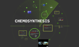 An organism that uses chemosynthesis