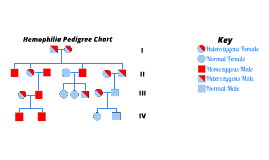 Haemophilia Pedigree Chart