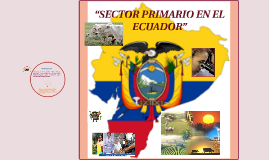 Resultado de imagen de agricultura sector primario de ecuador