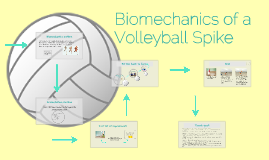 Biomechanics Of Volleyball What Biomechanical Principles