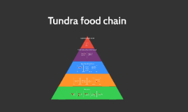 Tundra Food Chains Epub-Ebook