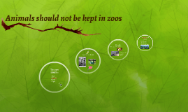 animal should not be kept in Is animal captivity wrong though that's not highlighted while we should respect the work caps does and one might even argue that if an animal could choose. animal should not be kept in Is animal captivity wrong though that's not highlighted while we should respect the work caps does and one might even argue that if an animal could choose.