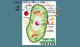 Plant cell is like A zoo by ashley arellano on Prezi