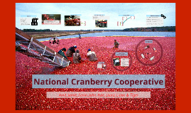 National cranberry case