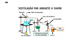 Destilação por arraste a vapor by Lara Ribeiro on Prezi