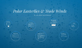 polar easterlies winds trade prezi