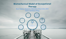 Biomechanical Approach To Occupational Therapy