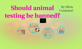 should animal testing be banned article