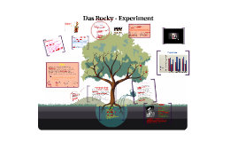 rocky experiment ergebnisse