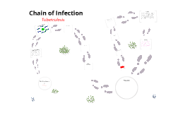 Chain of Infection: Tuberculosis by Esther Hockey on Prezi