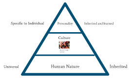 Three levels of uniqueness in Mental Programming by sunghan kim on Prezi