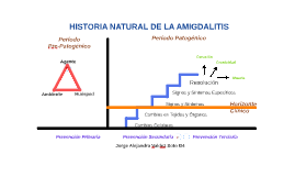 Resultado de imagen para HISTORIA NATURAL DE LA AMIGDALITIS