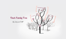 Finch Family Tree by Chica chica Chica Chica on Prezi