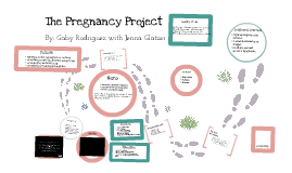 the pregnancy project essay