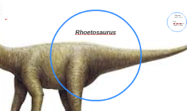 rhoetosaurus