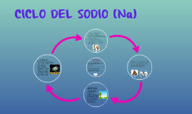 4 6 log na base on (Na) SODIO by daniela rincon CICLO Prezi DEL