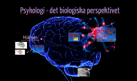 Psykologi - Det Biologiska Perspektivet By Rolf Fält On Prezi