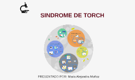 sindrome de torch