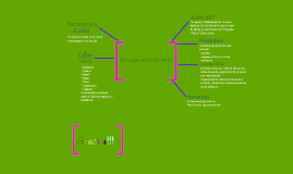 Procedimiento de embarque del producto terminado by Andrea 
