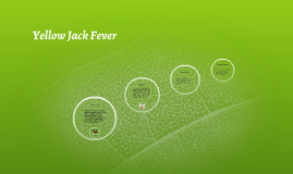 Yellow Jack Fever by jason johnson on Prezi