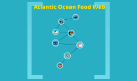 Atlantic Ocean Food Chain by Mamadou Diallo on Prezi