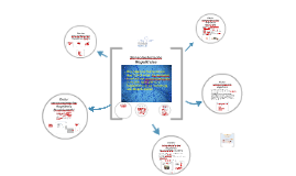 Evolution Der Sprache By Anna-Lena Eilts On Prezi