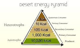 Desert Energy Pyramid by Humsini Murali on Prezi