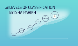 Levels of classification on Arctic Fox by isha parikh on Prezi