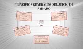 PRINCIPIOS GENERALES DEL DERECHO DE AMPARO by SEYDI CAB on Prezi