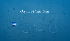 pelagic zone