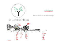 Nô Matu i nô firkidja