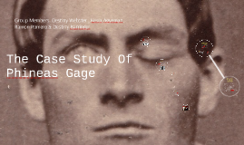 phineas gage case study evaluation