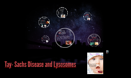 Tay- Sachs Disease and Lysosomes by shay rowe on Prezi
