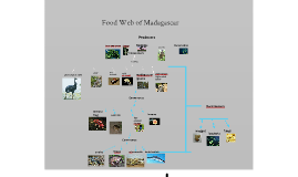 Copy of Food Web of Madagascar by tanya m on Prezi