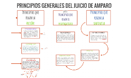 PRINCIPIOS GENERALES DEL JUICIO DE AMPARO by Marisol Cota on Prezi