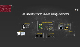 Die Volksrezepte für die Erhöhung der Potenz